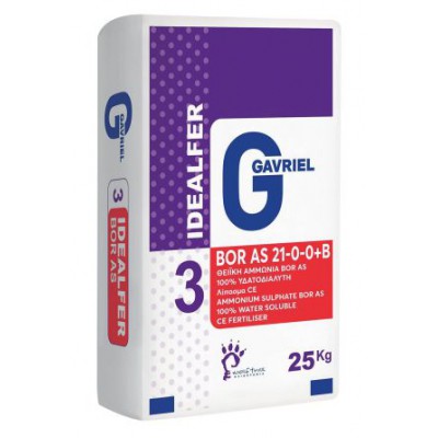 BOR AS  21-0-0 + B (IDEALFER GAVRIEL)