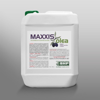 Maxxis Olea 